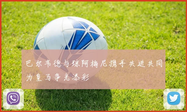 巴尔韦德与琼阿梅尼携手共进共同为皇马争光添彩